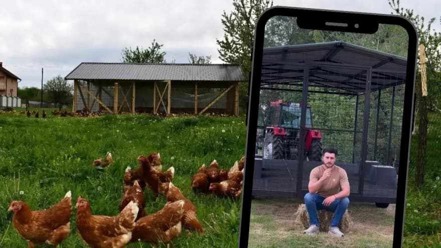 Pokretni kokošinjac i perad na imanju